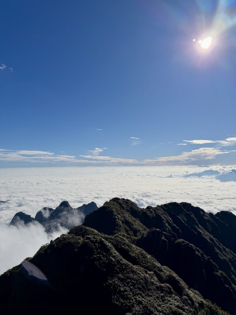 ファンシーパン山景色（雲海）