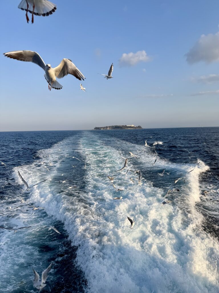 フェリーから初島の景色